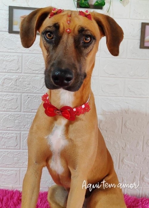 foto carrousel 8-min